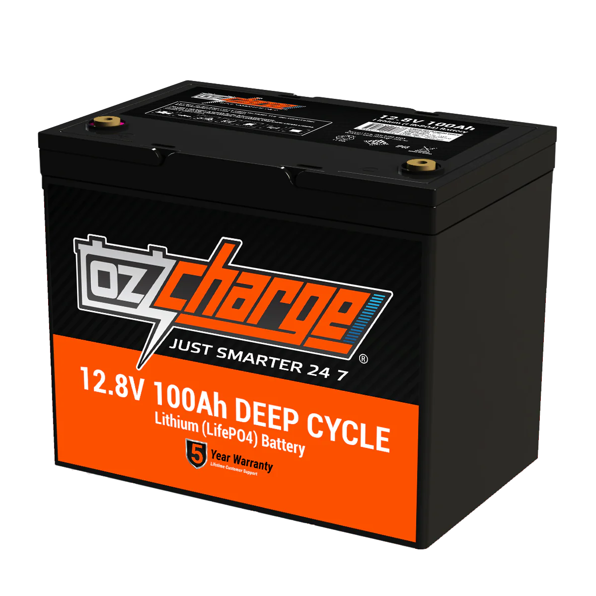 12V Beast Battery Box + 100Ah Lithium Battery + 12A Lithium Charger Combo - Image 7