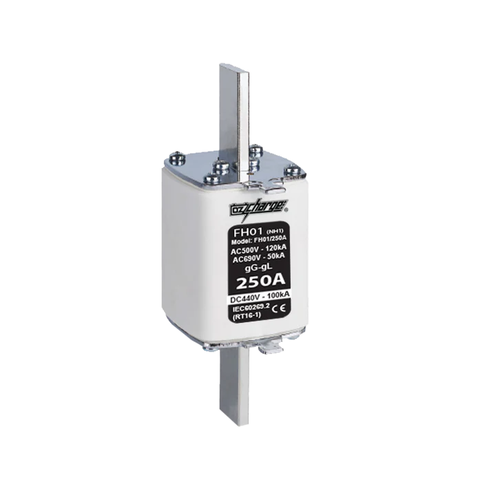 FH01-Series Fuses (NH1 Type) - 250A Max - Image 6
